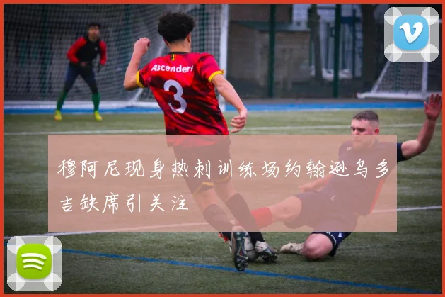 穆阿尼现身热刺训练场约翰逊乌多吉缺席引关注